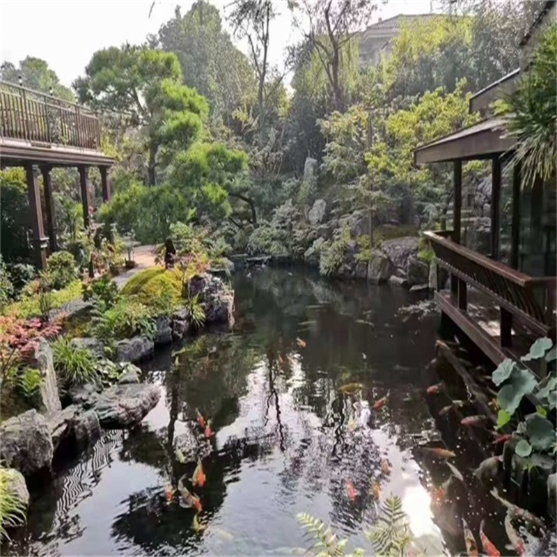 新华假山植物小鱼池